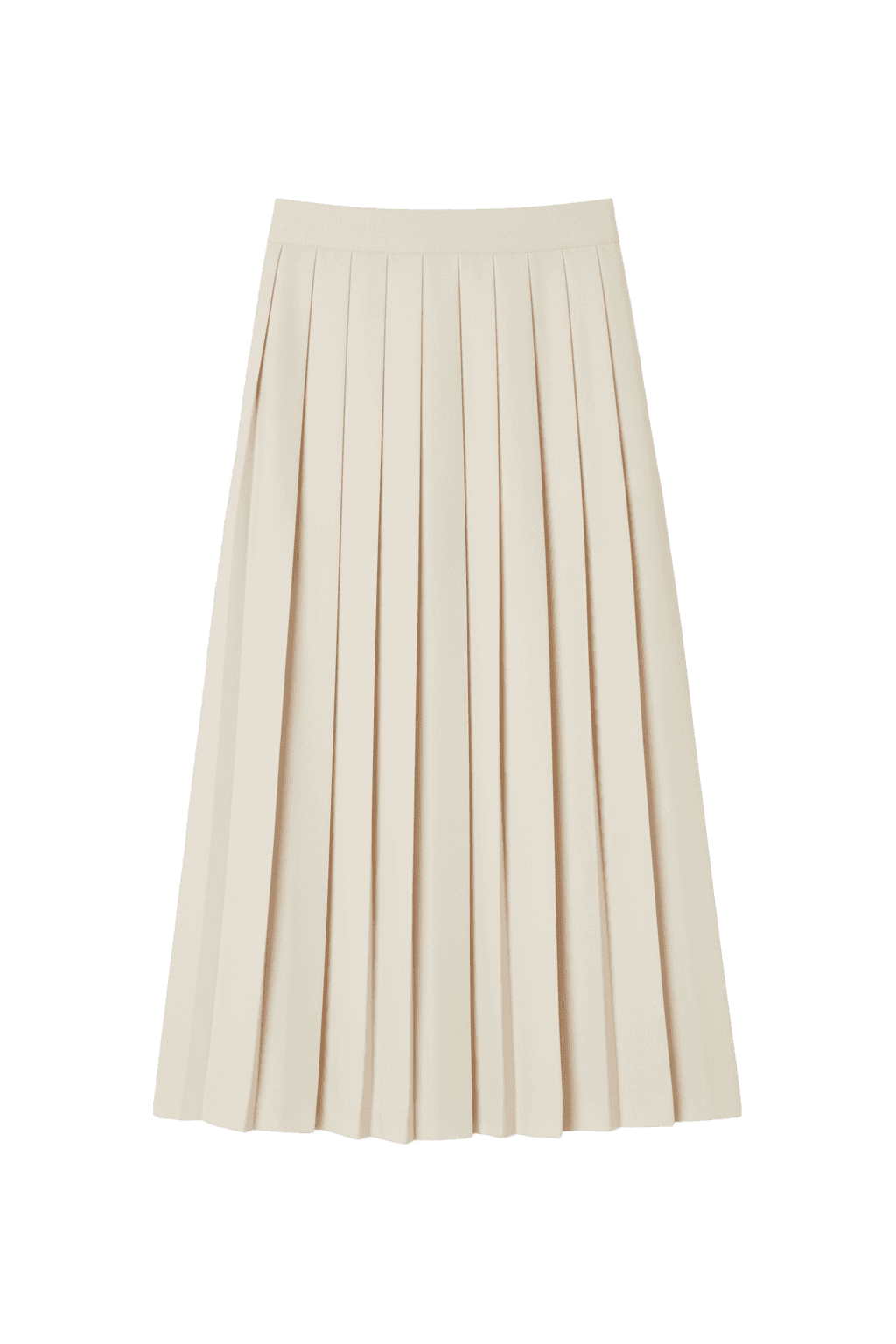 Pleated Skirt